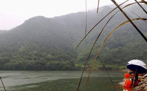 夏天雨季钓涨水鱼的技巧分享_WWW.YUJUCEPING.COM