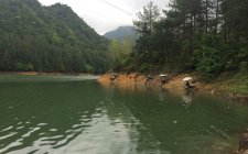 野钓教你怎么找鱼