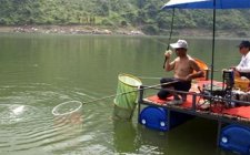 夏天江河手竿钓鱼技巧分享