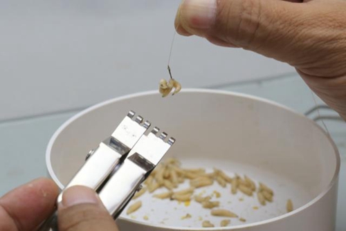 初秋水库打窝的方法_WWW.YUJUCEPING.COM