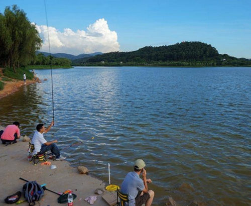 夏天江河手竿钓鱼技巧分享_WWW.YUJUCEPING.COM