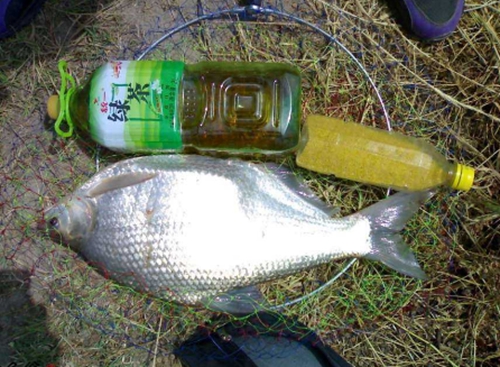 秋天钓鳊鱼的线组搭配技巧_WWW.YUJUCEPING.COM