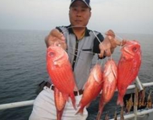 秋天雨前锚鱼技巧_WWW.YUJUCEPING.COM