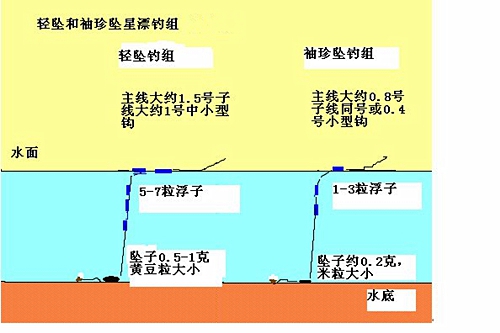 轻口鱼是什么意思_WWW.YUJUCEPING.COM