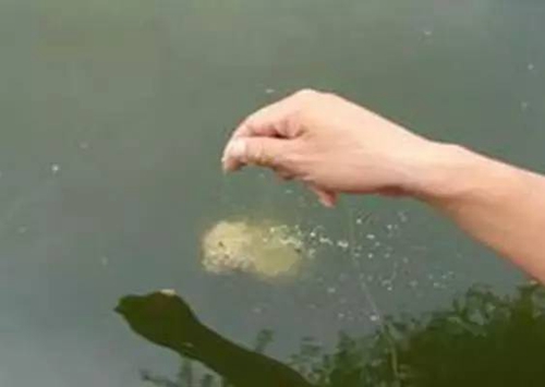 没口是什么意思_WWW.YUJUCEPING.COM