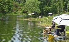江河涨水时钓鲤鱼的技巧