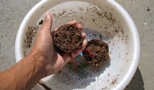 江河涨水时钓鲤鱼的技巧_WWW.YUJUCEPING.COM