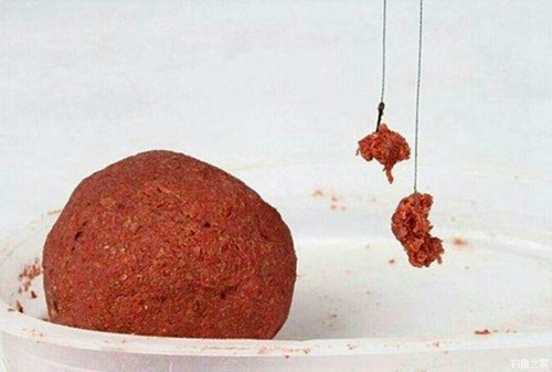 秋天台钓鲤鱼饵料使用技巧_WWW.YUJUCEPING.COM