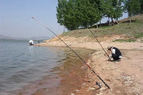 夏天高温水库钓鲤鱼钓位选择方法_WWW.YUJUCEPING.COM