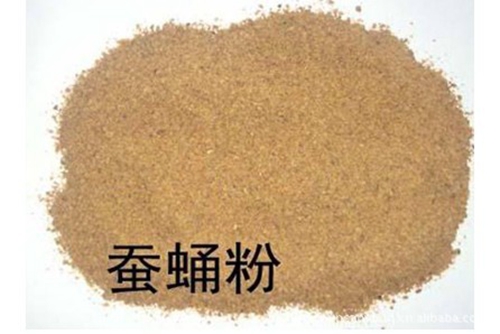 秋天钓鲤鱼爆炸钩饵料配方_WWW.YUJUCEPING.COM