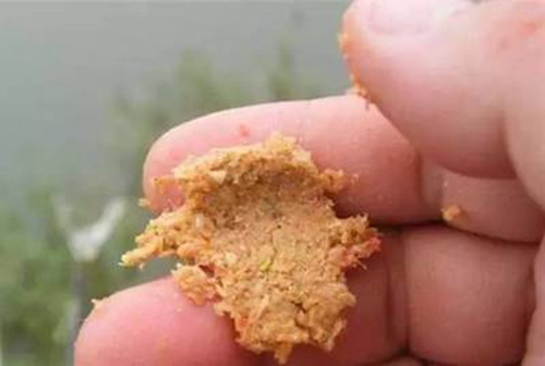 秋天钓鲤鱼爆炸钩饵料配方_WWW.YUJUCEPING.COM