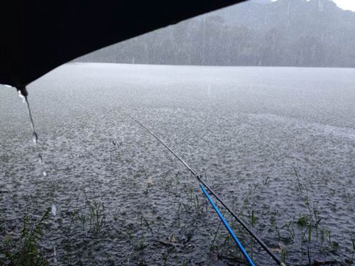 雨天钓鱼钓点的选择技巧_WWW.YUJUCEPING.COM