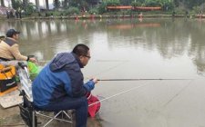 黑坑钓鱼密度低怎么钓