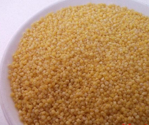 肥水塘台钓三种有效的饵料_WWW.YUJUCEPING.COM
