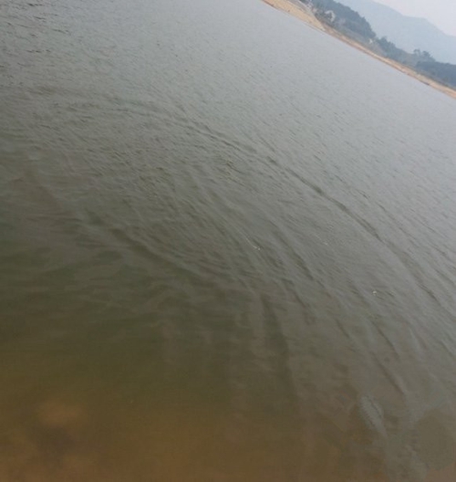 传统钓钓草鱼打窝方法_WWW.YUJUCEPING.COM