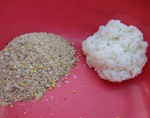 米饭粒饵钓鲫鱼技巧_WWW.YUJUCEPING.COM