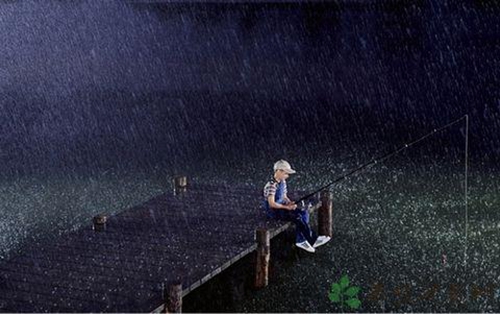 秋天阴雨连天怎么钓鱼_WWW.YUJUCEPING.COM