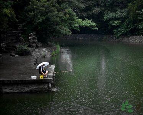 秋天阴雨连天怎么钓鱼_WWW.YUJUCEPING.COM