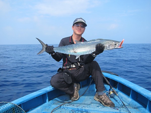 海钓马鲛鱼的方法_WWW.YUJUCEPING.COM