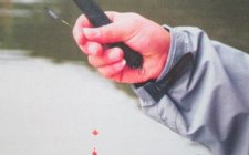 夏天水库钓白条技巧