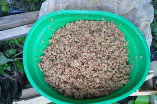 秋季黑坑钓鲤鱼饵料配方_WWW.YUJUCEPING.COM