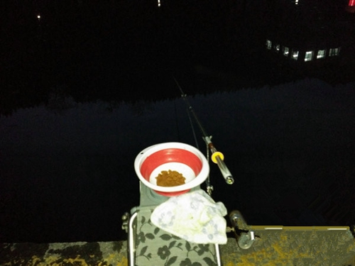 夏天夜钓鲤鱼无口的原因_WWW.YUJUCEPING.COM