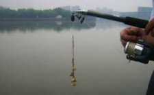 自然河段海竿串钩钓草鱼的方法