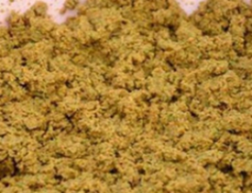 秋天常见的几种打窝方式_WWW.YUJUCEPING.COM