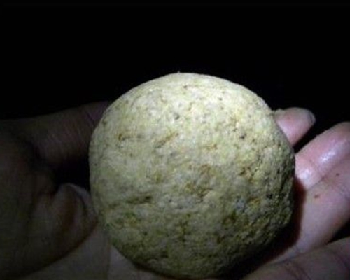 秋天夜钓河溪鱼的技巧_WWW.YUJUCEPING.COM