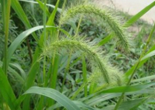 秋天晚上河边快乐抓螃蟹_WWW.YUJUCEPING.COM
