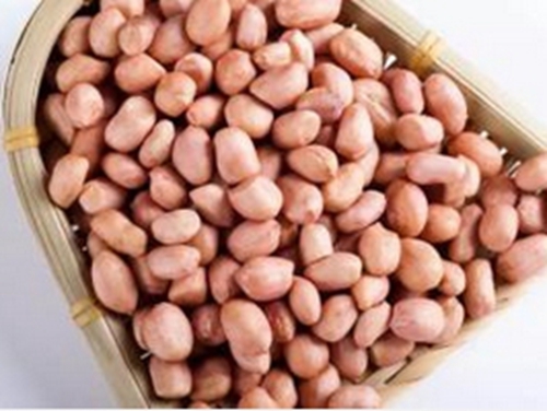 蚕豆花生粉饵料_WWW.YUJUCEPING.COM