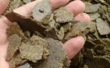 豆饼钓鱼打窝技巧