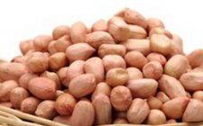 花生蛆虫饵料配方