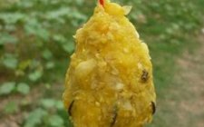 水库钓鱼怎么用玉米粒打窝补窝