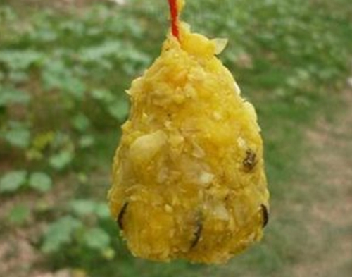 水库钓鱼怎么用玉米粒打窝补窝_WWW.YUJUCEPING.COM