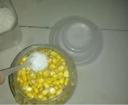 水库钓鱼怎么用玉米粒打窝补窝_WWW.YUJUCEPING.COM