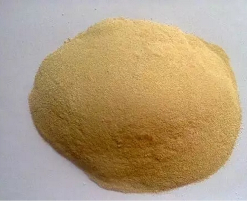 泡小米巧用蚕豆粉钓鲫鱼_WWW.YUJUCEPING.COM