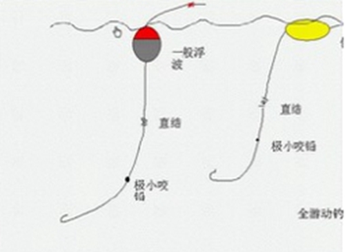 秋天荷叶塘钓鲫鱼的几个技巧_WWW.YUJUCEPING.COM