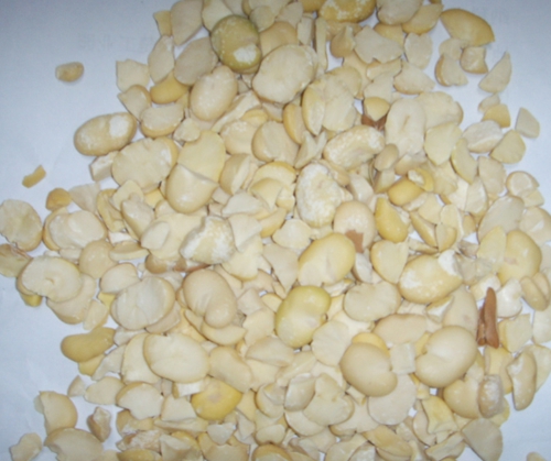 野钓鲫鱼佳饵蚕豆粉_WWW.YUJUCEPING.COM