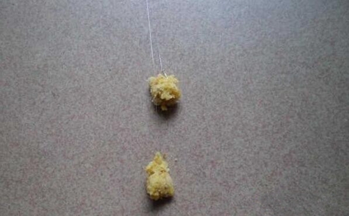 台钓鲫鱼的拉饵状态有讲究_WWW.YUJUCEPING.COM