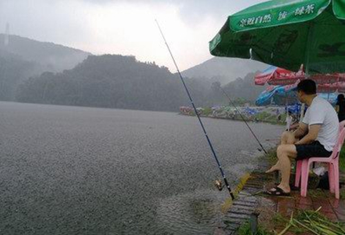 秋天下雨及雨后钓鲫鱼的方法_WWW.YUJUCEPING.COM