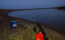 海竿深潭口夜钓鲶鱼的技巧