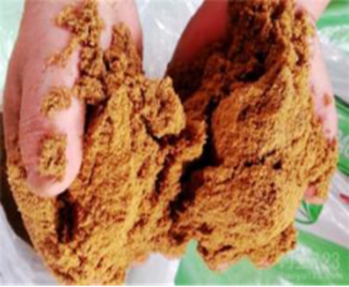 新手钓鱼需注重三个勤快_WWW.YUJUCEPING.COM