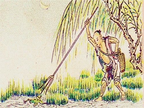 黑坑扎蛤蟆钓法技巧指南_WWW.YUJUCEPING.COM
