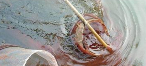 冬天水库钓鱼饵料配方_WWW.YUJUCEPING.COM