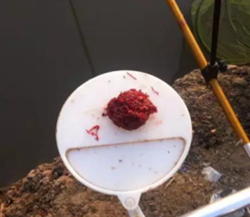 是什么原因影响着鱼是否开口_WWW.YUJUCEPING.COM