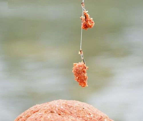 用蚯蚓钓鱼的技巧与蚯蚓诱饵制作方法_WWW.YUJUCEPING.COM