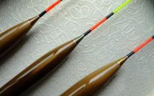结合鱼情使用浮漂