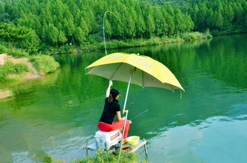 怎么看出窝中有没有鱼_WWW.YUJUCEPING.COM