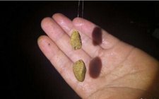 搓饵和拉饵的优劣对比
